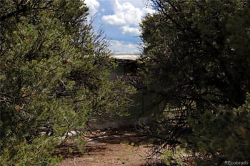 Lot 42 Monte Vista Dr, San Luis, CO 81152