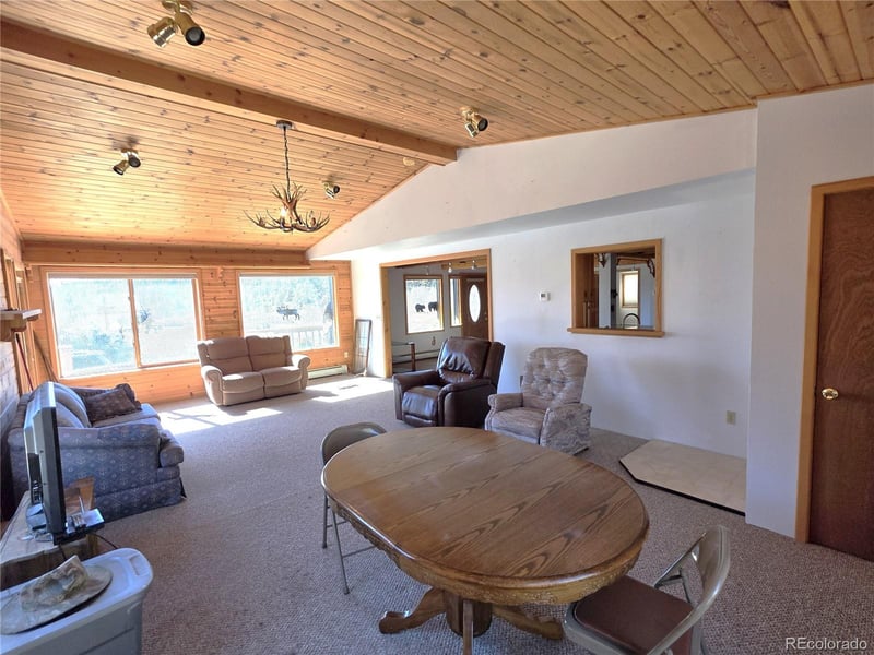 60 Pawnee Pa, Lake George, CO 80827