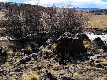 492 Chickamauga Trl, Hartsel, CO 80449