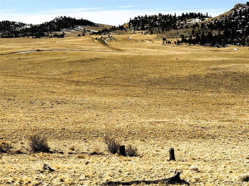492 Chickamauga Trl Lot 898/900, Hartsel, CO 80449