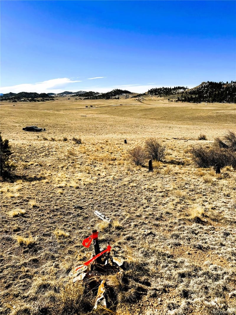 492 Chickamauga Trl Lot 898/900, Hartsel, CO 80449