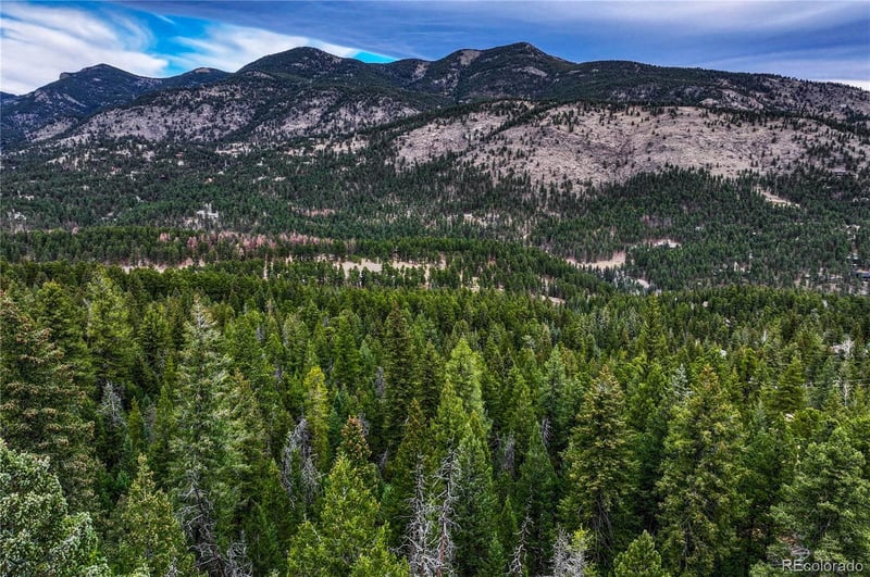 33864 Bergen View Trl, Evergreen, CO 80439