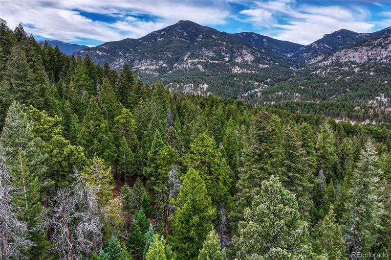 33864 Bergen View Trl, Evergreen, CO 80439