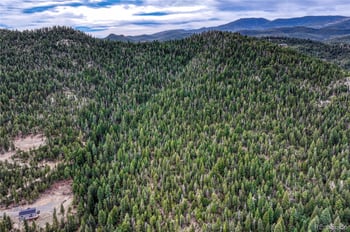 33864 Bergen View Trl, Evergreen, CO 80439