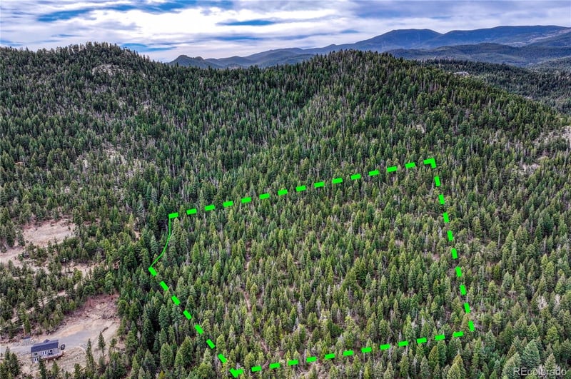 33864 Bergen View Trl, Evergreen, CO 80439