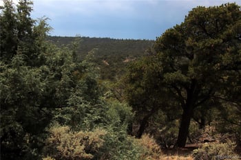 2252 White Tail Rd #2 Cir, San Luis, CO 81152