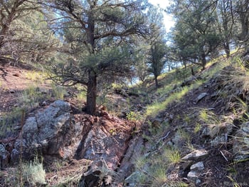 12550 9 , Canon City, CO 81212