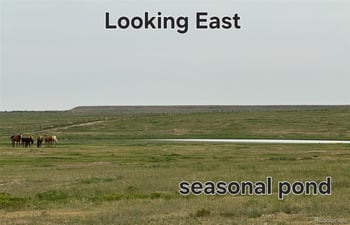 County road 43 County Road 96, Pierce, CO 80650