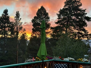 602 Dexter St, Leadville, CO 80461