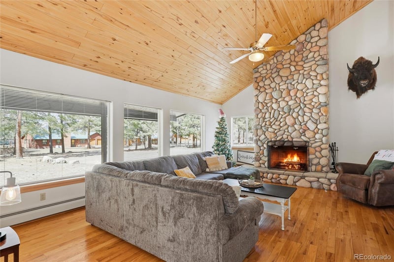 100 Spruce Dr, South Fork, CO 81154