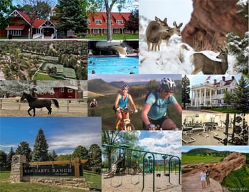 10284 Hayden Ps, Littleton, CO 80127