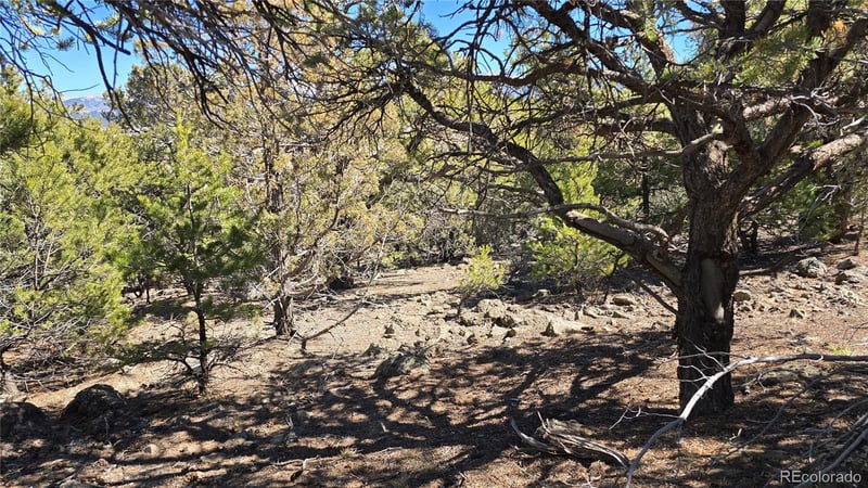Lots 5 - 6 Lakeview Dr, San Luis, CO 81152