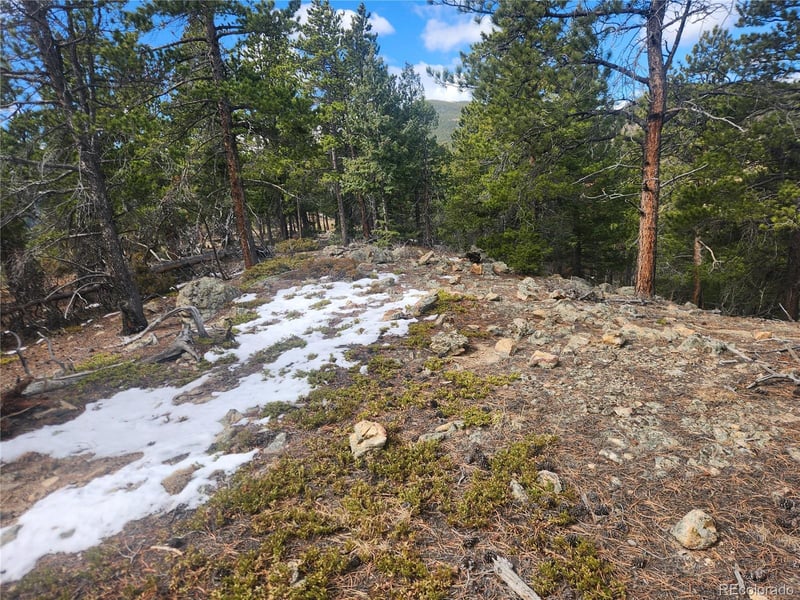 Vacant Land on Fools Gold Rd, Idaho Springs, CO 80452