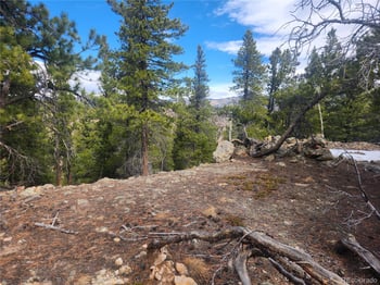 Vacant Land on Fools Gold Rd, Idaho Springs, CO 80452