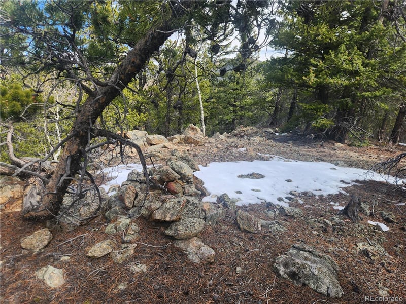 Vacant Land on Fools Gold Rd, Idaho Springs, CO 80452