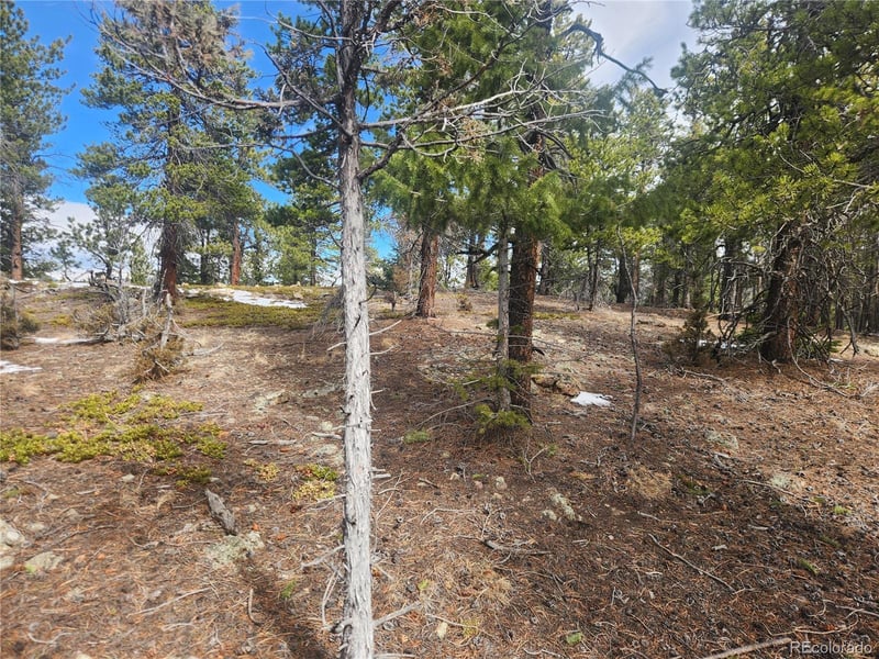Vacant Land on Fools Gold Rd, Idaho Springs, CO 80452