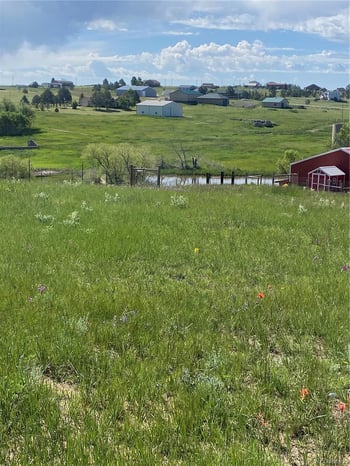 13435 Hodgen Rd, Elbert, CO 80106