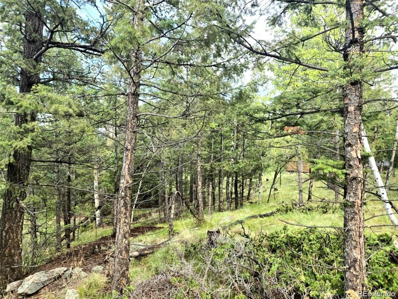 1845 Burland Dr, Bailey, CO 80421