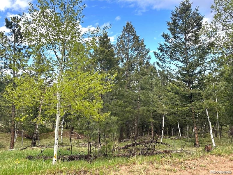 1845 Burland Dr, Bailey, CO 80421