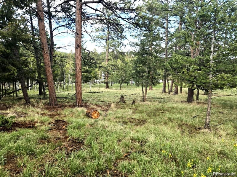 1845 Burland Dr, Bailey, CO 80421