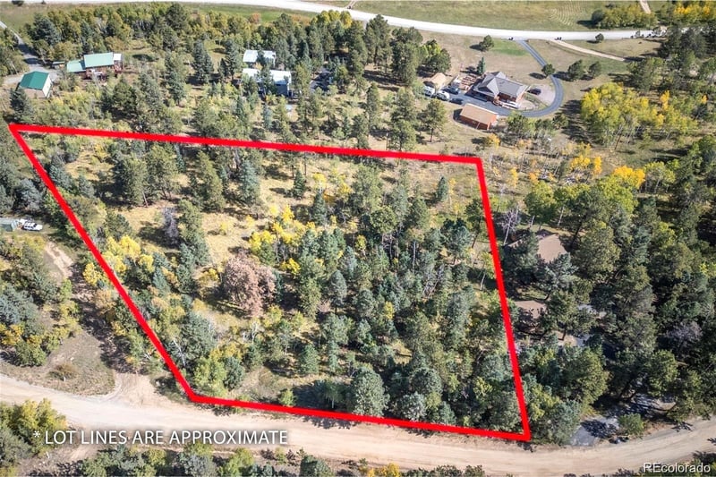 1845 Burland Dr, Bailey, CO 80421
