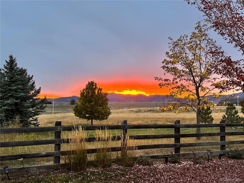 14186 90th Pl, Arvada, CO 80005