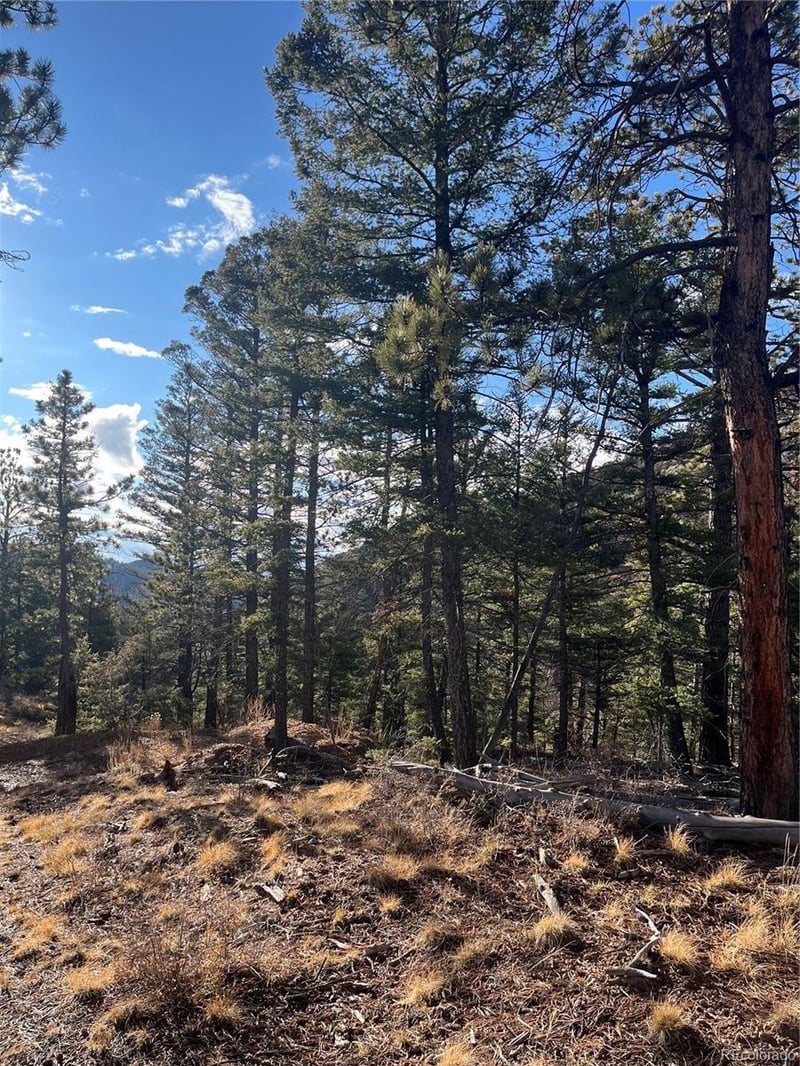 Forbes Rd, Fort Garland, CO 81133