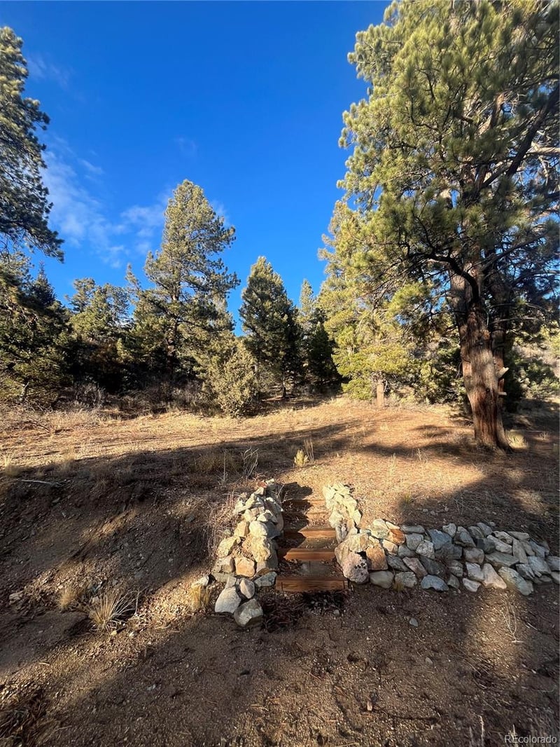 Forbes Rd, Fort Garland, CO 81133