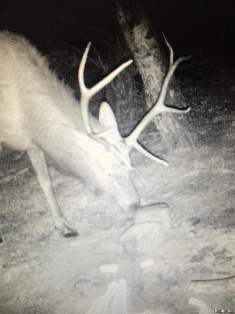 Forbes Rd, Fort Garland, CO 81133