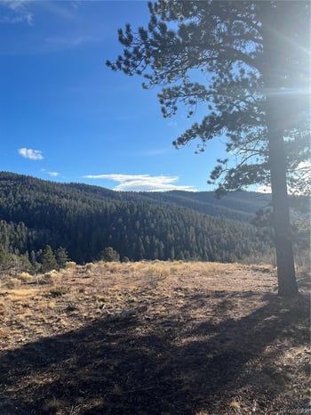 Forbes Rd, Fort Garland, CO 81133