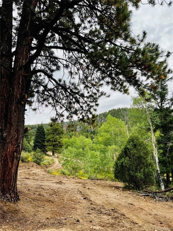 Forbes Rd, Fort Garland, CO 81133