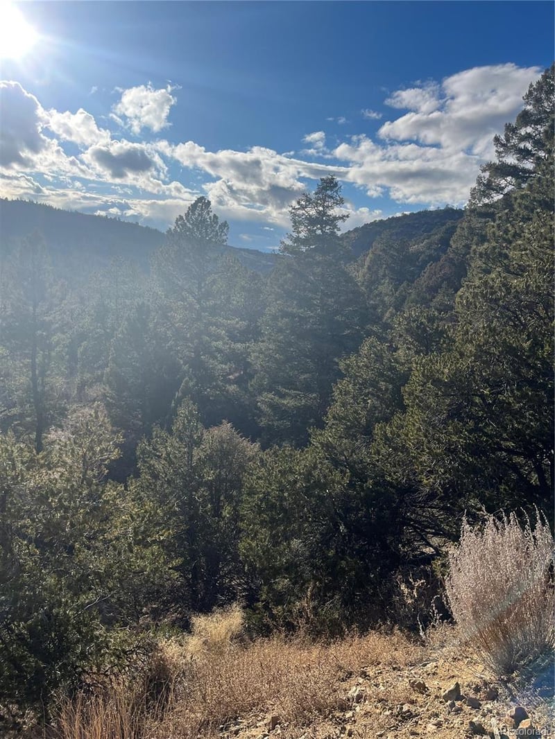 Forbes Rd, Fort Garland, CO 81133