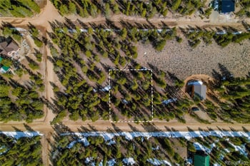 199 Birch Dr, Leadville, CO 80461