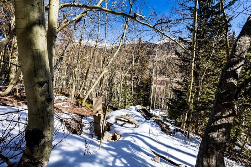 944 Roberts Rd, Alma, CO 80420