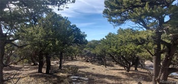 Lot 7274 Barker Rd, Fort Garland, CO 81133