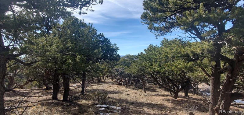 Lot 7274 Barker Rd, Fort Garland, CO 81133