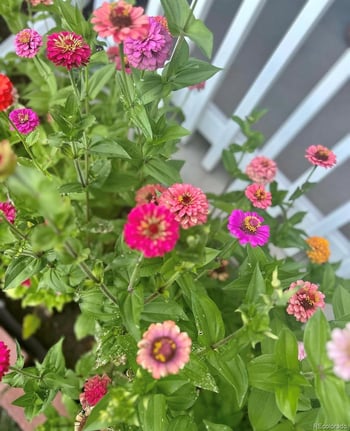 4759 Hawthorne St, Englewood, CO 80110