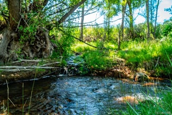 7701 Charles St, Colorado City, CO 81019