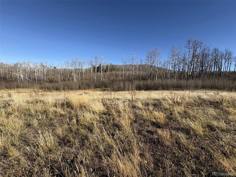 1654 Cary Ln, Fort Garland, CO 81133