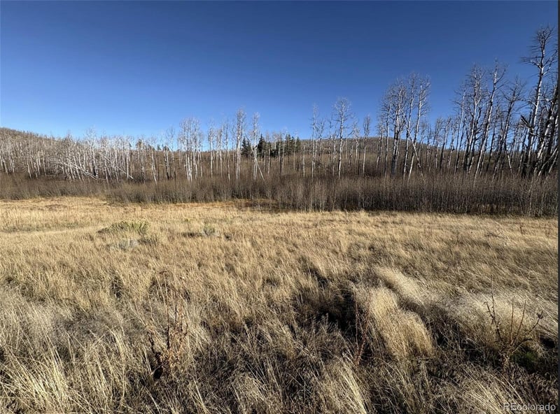 1654 Cary Ln, Fort Garland, CO 81133