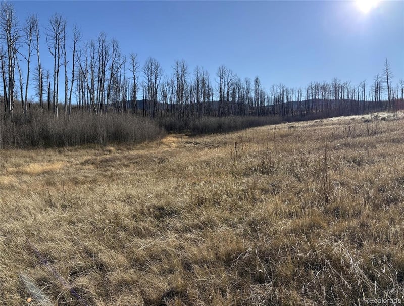 1654 Cary Ln, Fort Garland, CO 81133