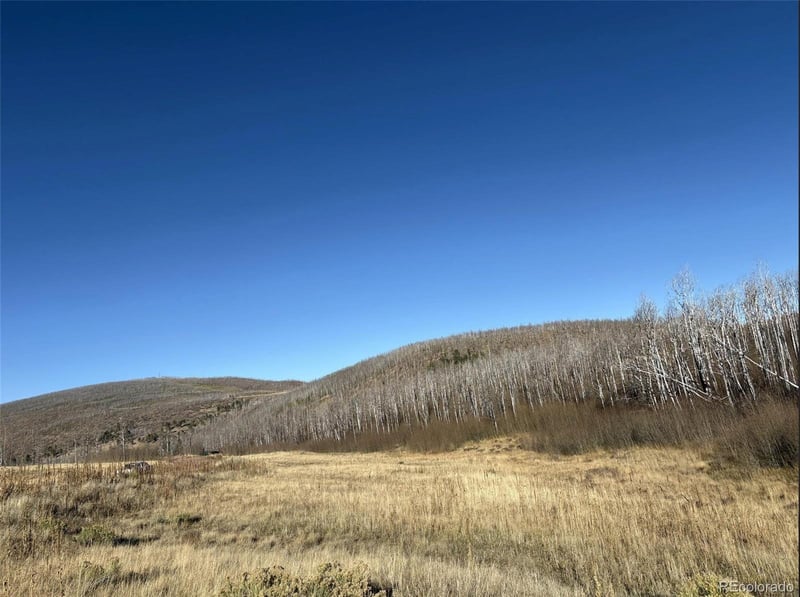 1654 Cary Ln, Fort Garland, CO 81133