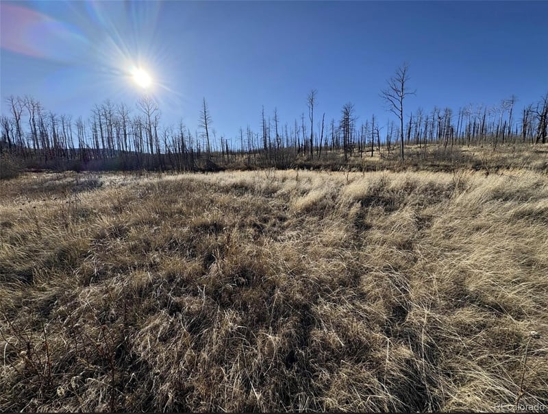 1654 Cary Ln, Fort Garland, CO 81133