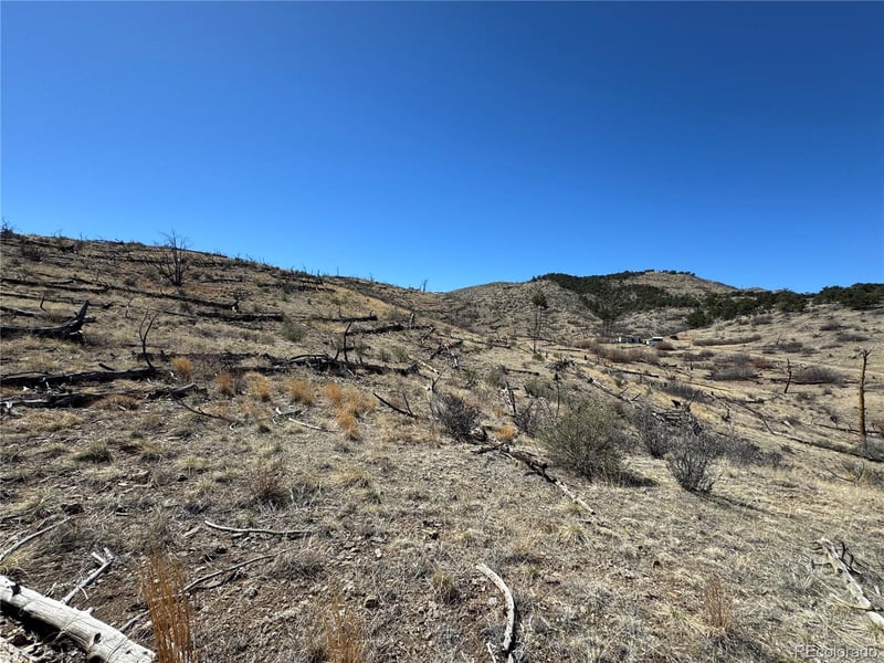 TBD 32nd F Pa, Cotopaxi, CO 81223