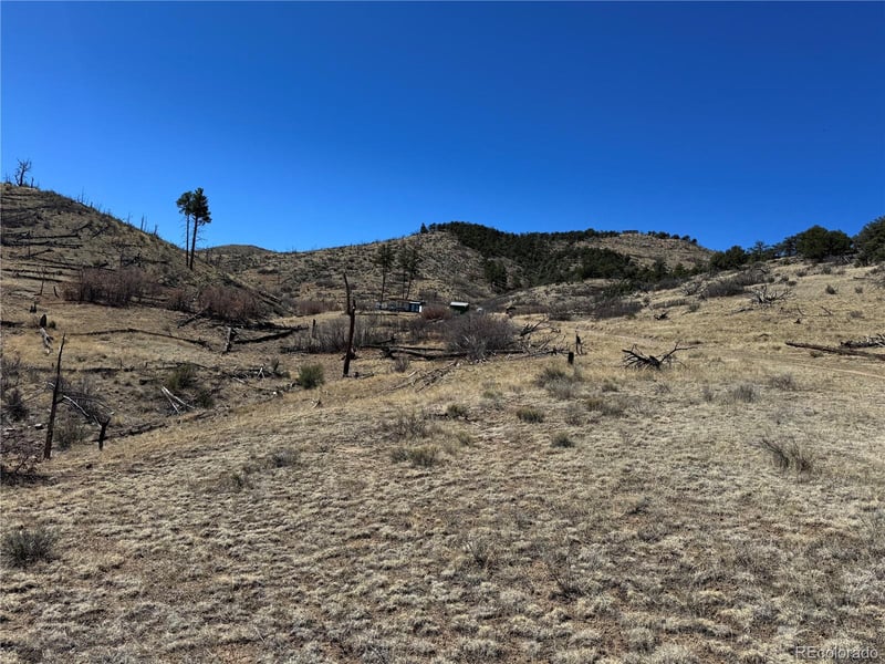 TBD 32nd F Pa, Cotopaxi, CO 81223