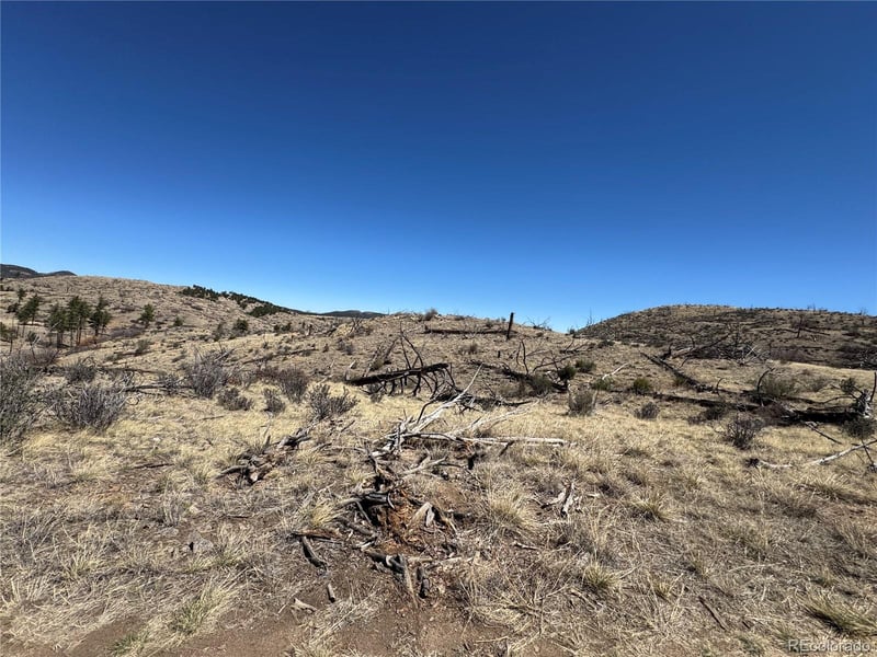 TBD 32nd F Pa, Cotopaxi, CO 81223