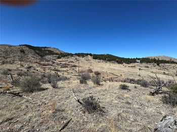 TBD 32nd F Pa, Cotopaxi, CO 81223