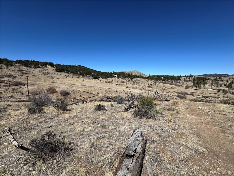 TBD 32nd F Pa, Cotopaxi, CO 81223