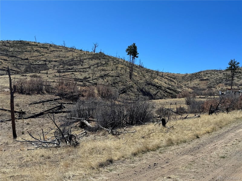 TBD 32nd F Pa, Cotopaxi, CO 81223