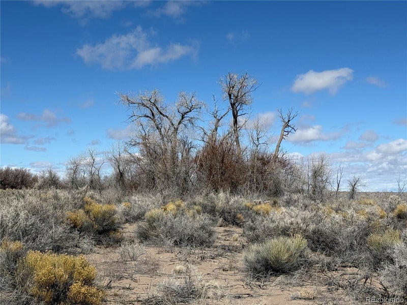 00 2nd St, Alamosa, CO 81101